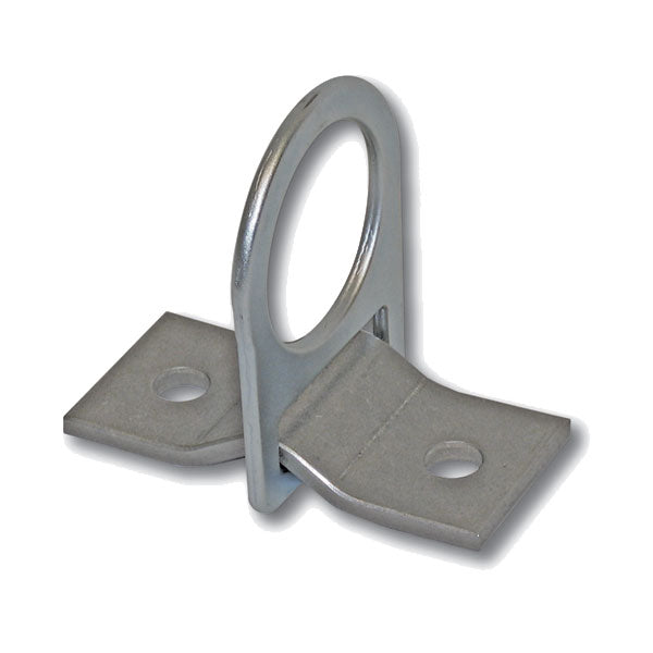 Guardian D-Ring 2 Hole Anchor Plate